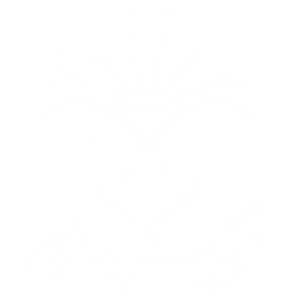 تدبیرگستر پاسارگاد